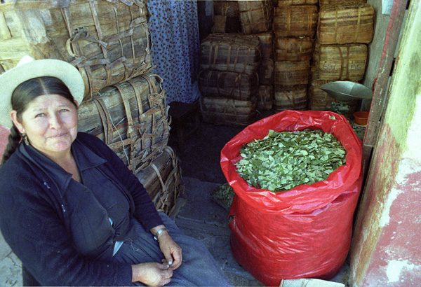 Vendeuse de coca, Potosi, Bolivie