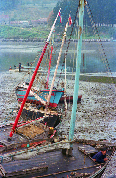 Mare basse et bazeaux  Angelmo, Puerto Montt, Chili