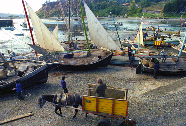 Marée basse et bateaux à Angelmo, Puerto Montt, Chili