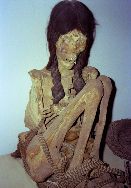 Momie du désert de Atacama, musée de San Pedro de Atacama, Chili