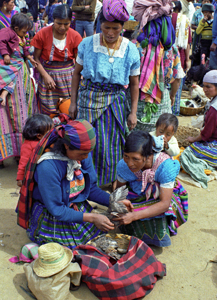 Vendeuses de volaille,San Francisco el Alto, Guatemala