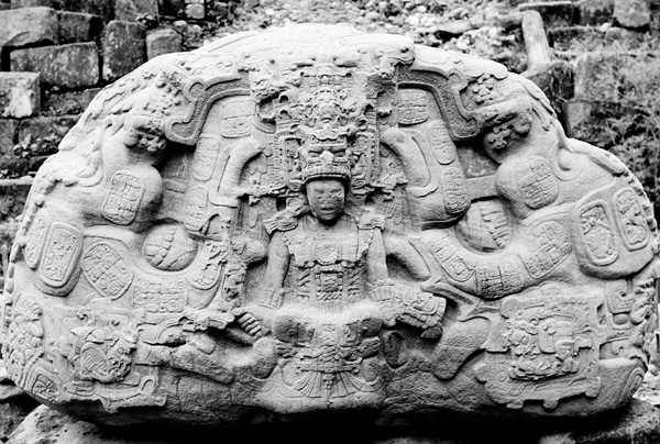 Zoomorph P, ruines de Quirigua, Guatemala