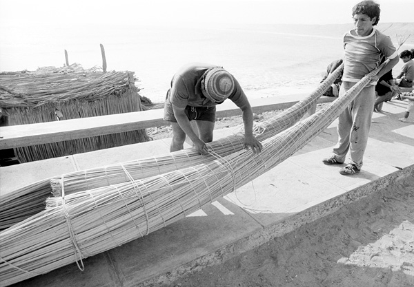 Fabrication de bateau de totora (caballito de totora), Huanchaco, Prou