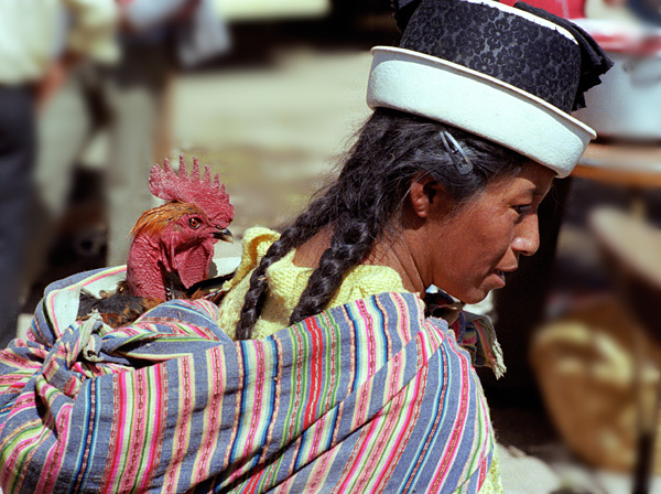 Indienne portant une poule, march de Chupaca, Prou