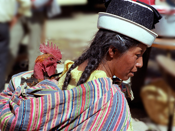 Indienne portant une poule, marché de Chupaca, Pérou