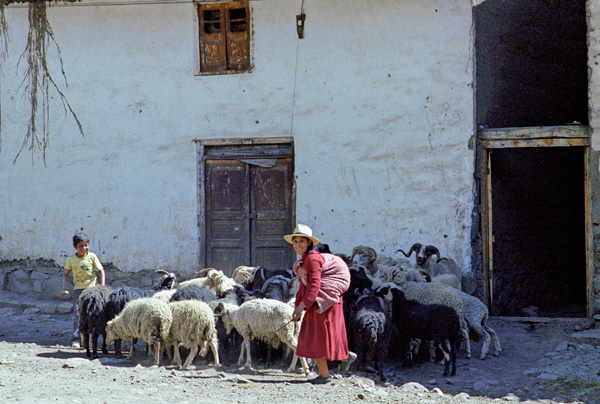 Bergère et troupeau, Chavin de Huantar, Pérou