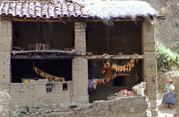 Grenier  mas, Chavin de Huantar, Prou