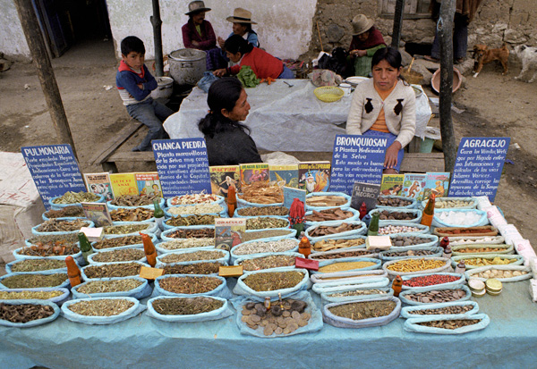 Herbes médicinales, marché de Huarás, Pérou