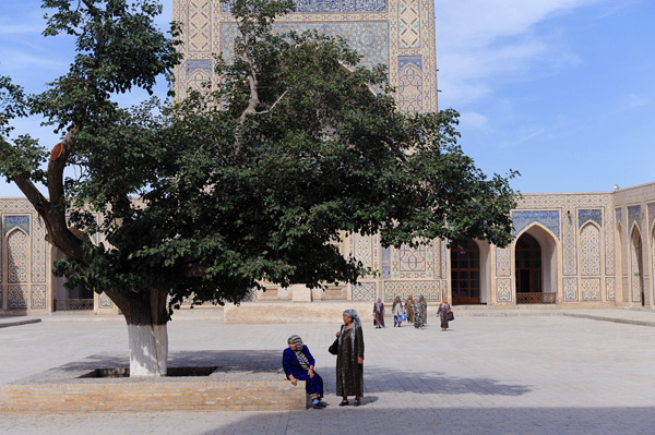 Le vieux mûrier dans la cour de la mosquée Kalyan, Boukhara, Ouzbékistan