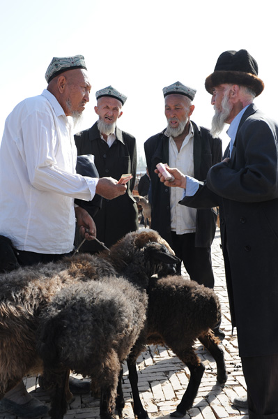 Au march des animaux du dimanche, Kashgar, Xinjiang, Chine