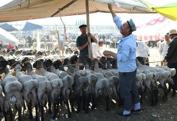 Vendeurs de moutons, march des animaux, Kashgar, Xinjiang, Chine