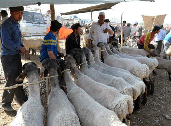 Vendeurs de moutons, marché des animaux, Kashgar, Xinjiang, Chine