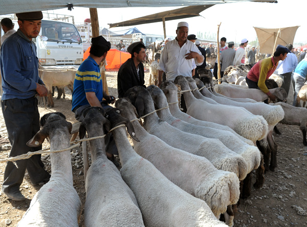 Vendeurs de moutons, march des animaux, Kashgar, Xinjiang, Chine