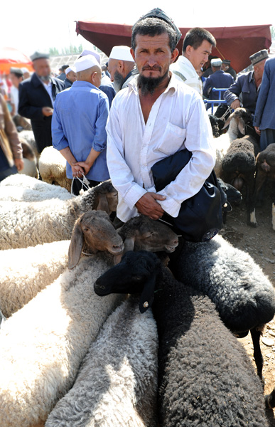 Vendeur de moutons, marché des animaux, Kashgar, Xinjiang, Chine