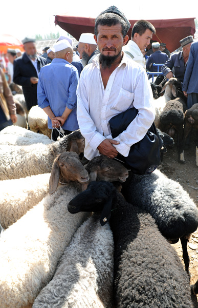 Vendeur de moutons, march des animaux, Kashgar, Xinjiang, Chine