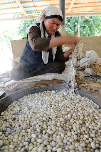 Extraction artisanale de la soie, Hotan, Chine