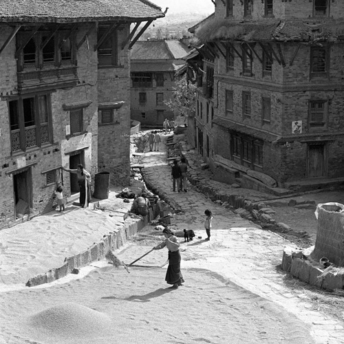 Schage du grain, Katmandou, Npal