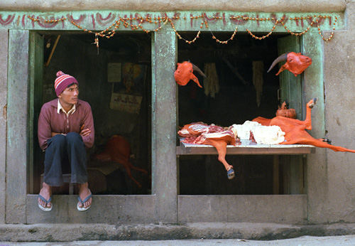 Boucher, Katmandou, Népal