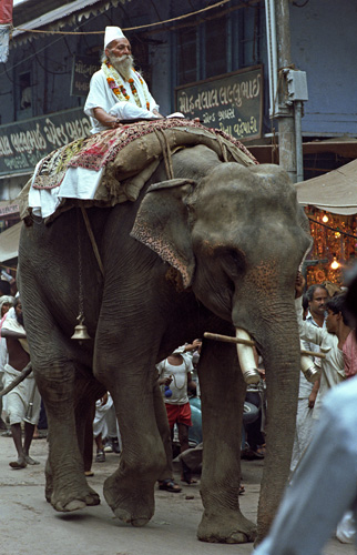Prêtre sur son éléphant, Varanasi, Inde