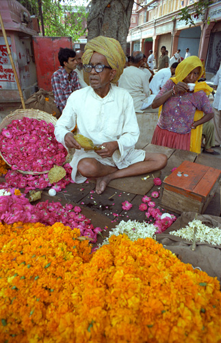 Fabrication de colliers en fleurs, Udaipur, Rajasthan, Inde