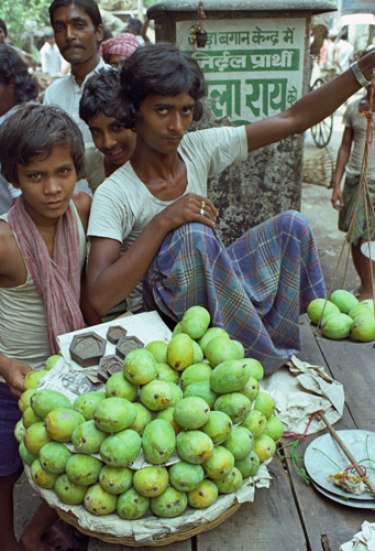 Vendeurs de mangues, Calcutta, Inde