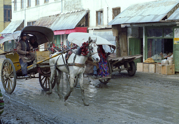 Rue de Mazar-i-Sharif, Afghanistan