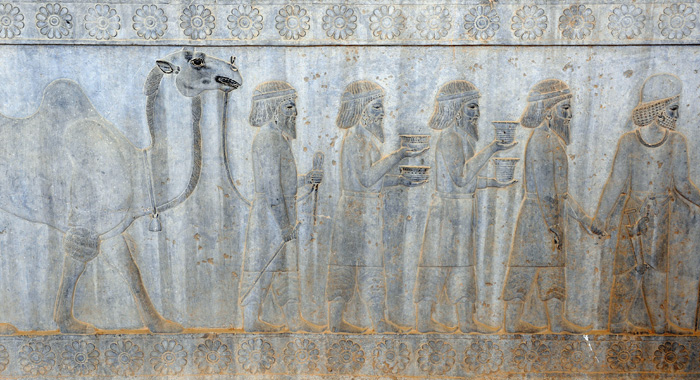 Bas-relief, Persepolis, Iran