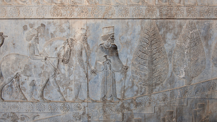 Bas-relief, Persepolis, Iran