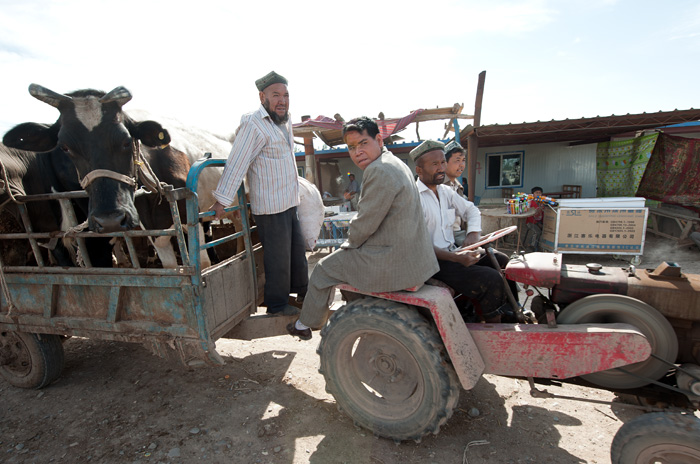 March des animaux du dimanche, Kashgar, Xinjiang, Chine