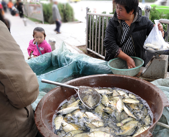 Poissonnire, Kashgar, Xinjiang, Chine