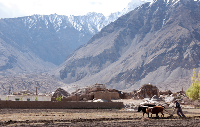 Labours au moyen de chevaux, Ishkashim, Tadjikistan