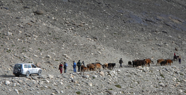 Entre Layangar et le col Khargush, Tadjikistan