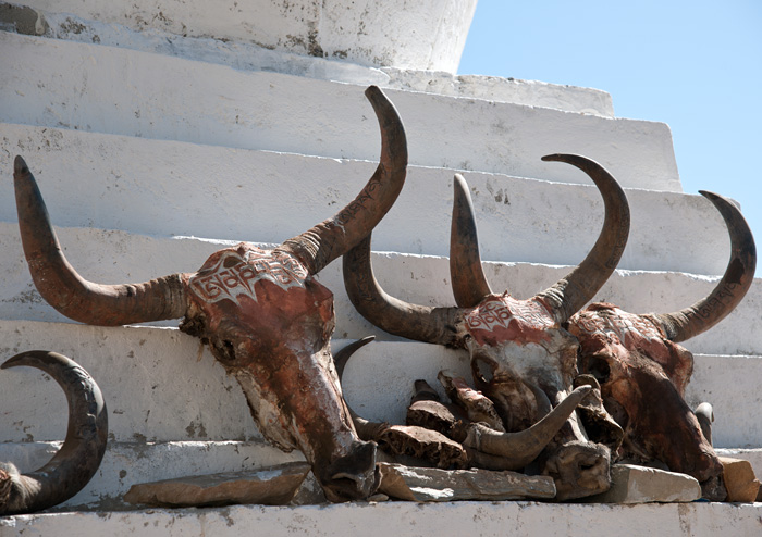 Crânes de yack gravés de la mantra Om mani padme hum, Darchen, Tibet, Chine