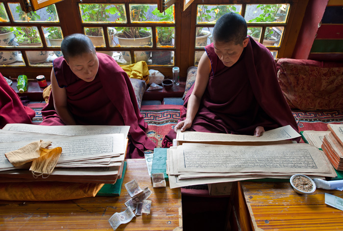 Lecture des textes, couvent bouddhiste Ani Tsankhung, Lhassa, Tibet, Chine
