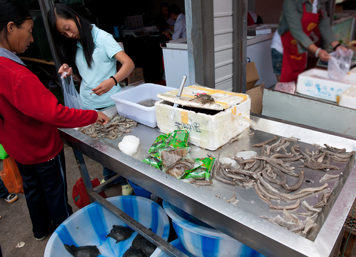 Vente d'anguilles, marché central de Lijiang, Yunnan
