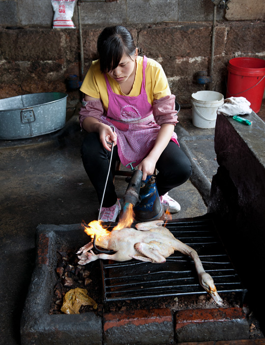 Prparation de canard au chalumeau, march central de Lijiang, Yunnan, Chine