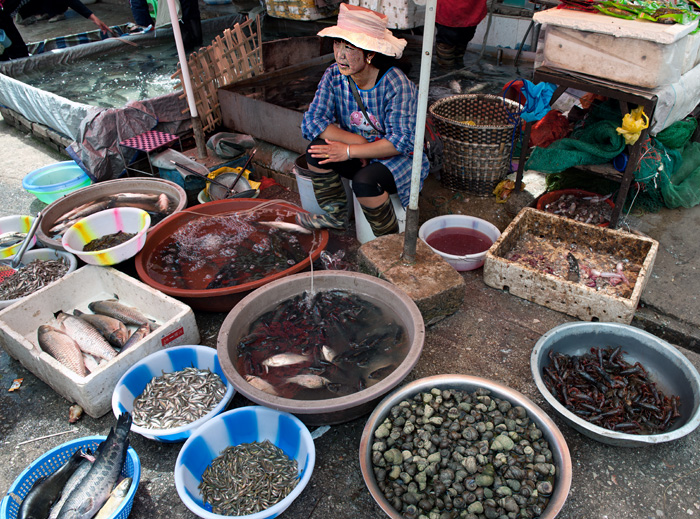 Poissonnire, march central de Lijiang, Yunnan, Chine