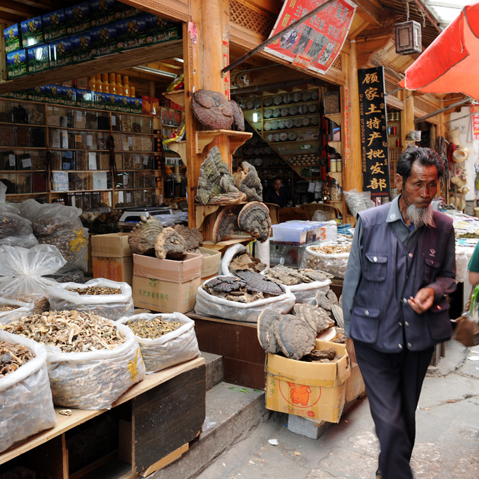 Commerce de champignons, Lijiang, Yunnan, Chine