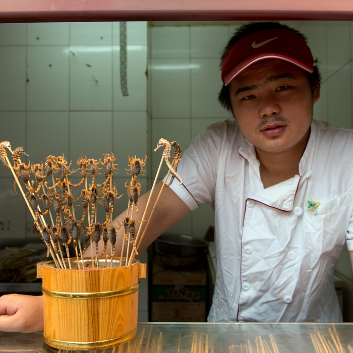Petit restaurant servant des scorpions, Snack Street, Pékin, Chine