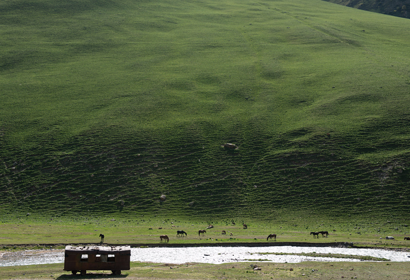 Elevage de chevaux, versant sud du col Alabel, Kirghizistan