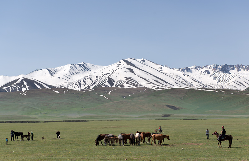 Nomades et élevage de chevaux, route M41, versant nord du col Alabel, Kirghizistan