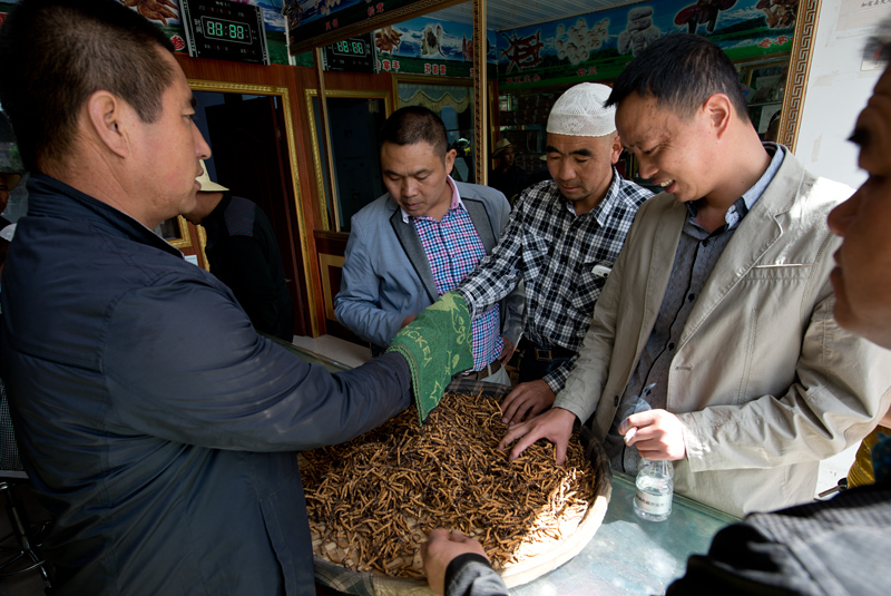 Ngociation de prix du Yartsa Gunbou, Lhassa, Tibet, Chine
