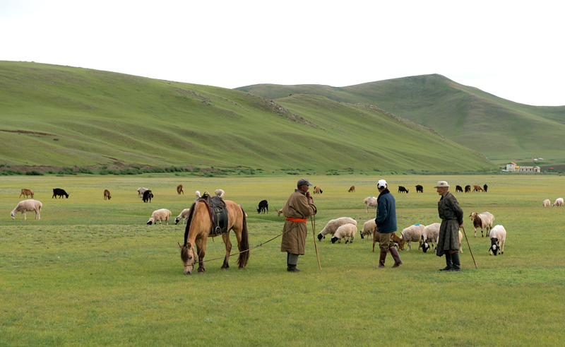 Bergers de Kharkhorin, Mongolie