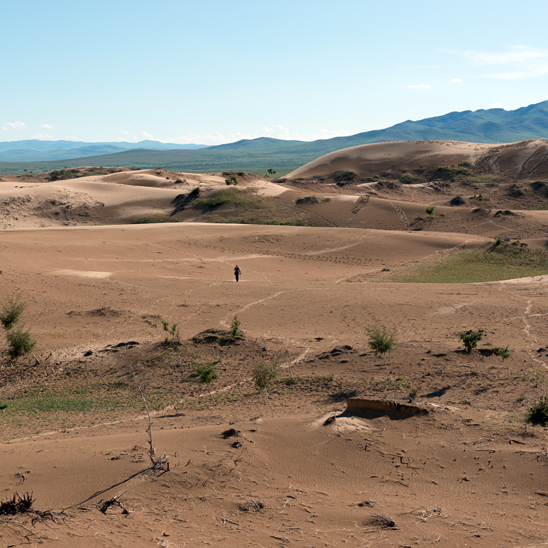 Dunes de sable, Mongolie