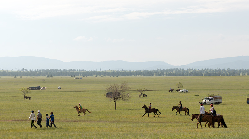 Chevaux et grands espaces. Mongolie