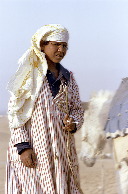 Jeune muletier, Le Caire, Egypte