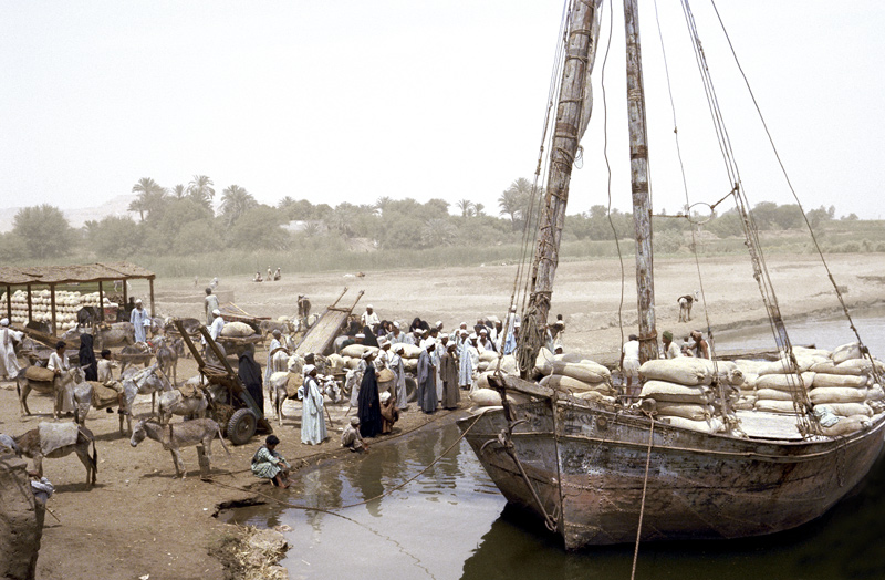 Dchargement d'une felouque sur le Nil, Al Aqaltah, Louxor, Egypte