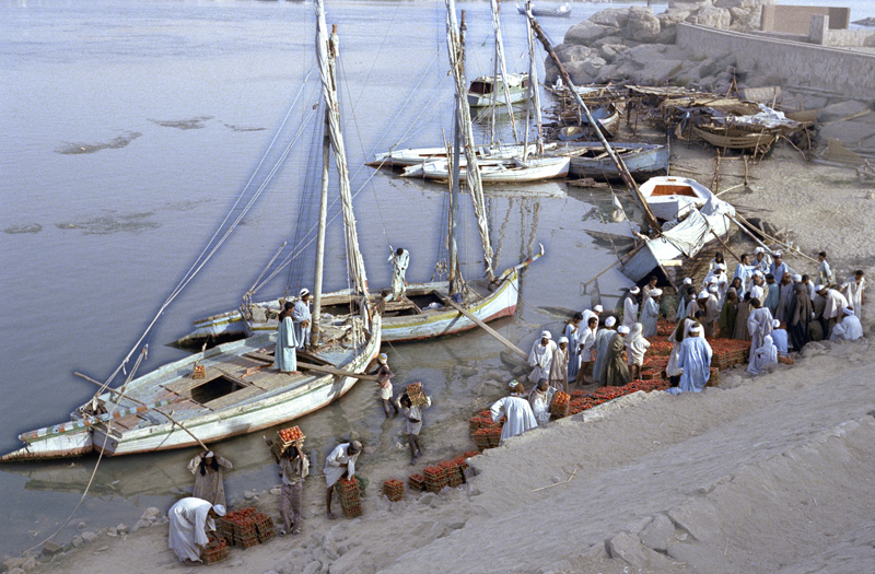 Felouque sur le Nil, déchargement de tomates, Louxor, Egypte