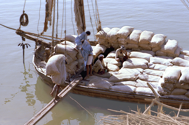 Chargement de grain sur une felouque, le Nil, Assouan, Egypte