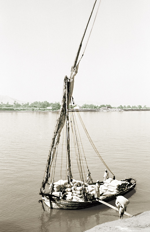 Chargement de grain sur une felouque, le Nil prs de Louxor, Egypte